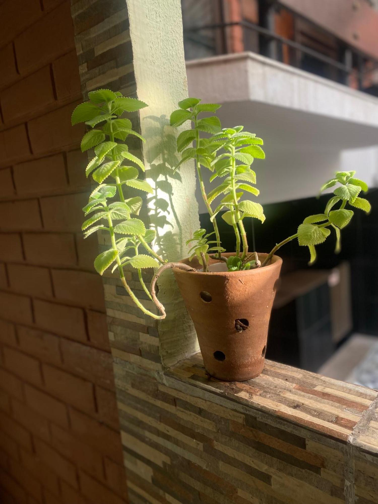 Quarto em Acomodações Particulares Apraiana E